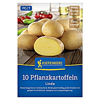 Kiepenkerl Pflanzkartoffeln Linda (Solanum tuberosum, 10 Stk., Erntezeit: August)