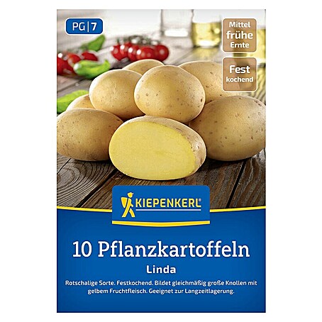 Kiepenkerl Pflanzkartoffeln Linda (Solanum tuberosum, 10 Stk., Erntezeit: August)