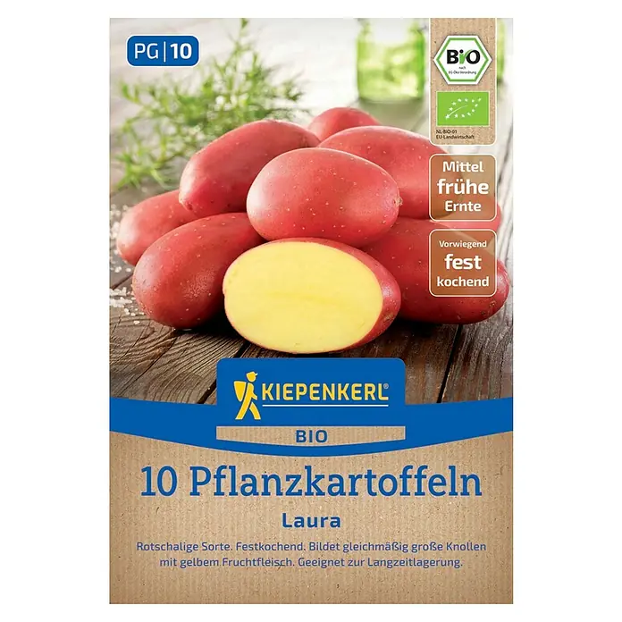 Kiepenkerl Bio Pflanzkartoffeln - Solanum tuberosum, 10 Stk., Erntezeit: August - Abbildung der Pflanzkartoffeln "Laura", Bio-Qualität, festkochend und für mittelfrühe Ernte geeignet.