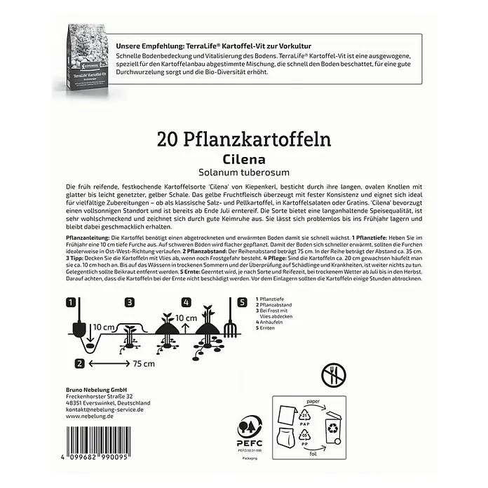 Kiepenkerl Pflanzkartoffeln Cilena - Solanum tuberosum, 20 Stk., Erntezeit: August - Abbildung mit Pflanzanleitung für Cilena Pflanzkartoffeln, die Pflanztiefe, den Pflanzabstand und die Ernte erklärt.