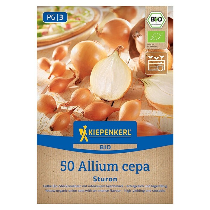 Kiepenkerl Bio Steckzwiebeln Sturon Gr. 12/21 (Allium cepa, Erntezeit: Juli) | BAUHAUS
