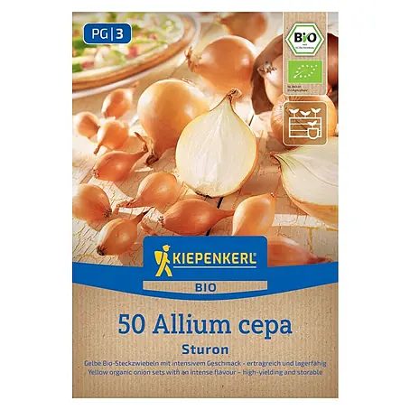 Kiepenkerl Bio Steckzwiebeln Sturon Gr. 12/21