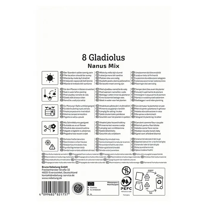 Kiepenkerl Blumensamenmischung Gladiolus Nanos Mix - Gladiolus x Hybrida, Mehrfarbig - Informationen zur Pflanzung von 8 Gladiolus Nanus Mix, einschließlich Standort, Bewässerung, Schnitt und Lagerung.