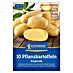 Kiepenkerl Pflanzkartoffeln Sieglinde 