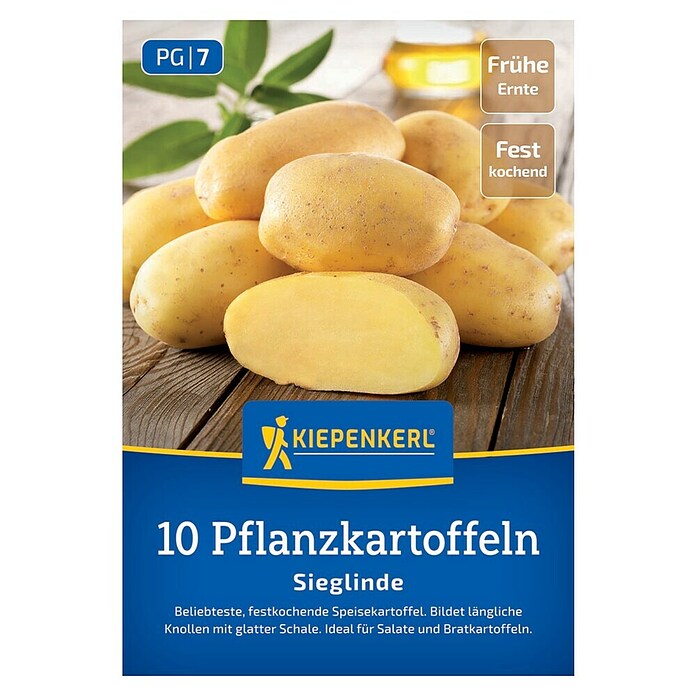 Kiepenkerl Pflanzkartoffeln Sieglinde (Solanum tuberosum, 10 Stk., Erntezeit: Juli) | BAUHAUS