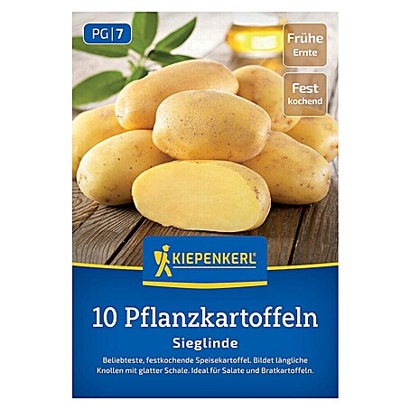 Kiepenkerl Pflanzkartoffeln Sieglinde (Solanum tuberosum, 10 Stk., Erntezeit: Juli)