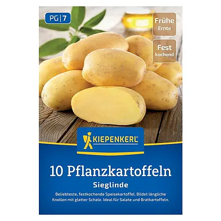 Kiepenkerl  Pflanzkartoffeln Sieglinde