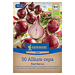Kiepenkerl Bio Steckzwiebeln Red Baron, Gr. 10/21 (Allium cepa, Erntezeit: Juli)