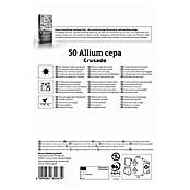 Kiepenkerl Profi-Line Steckzwiebeln Crusado (Allium cepa, Erntezeit: Juli) | BAUHAUS