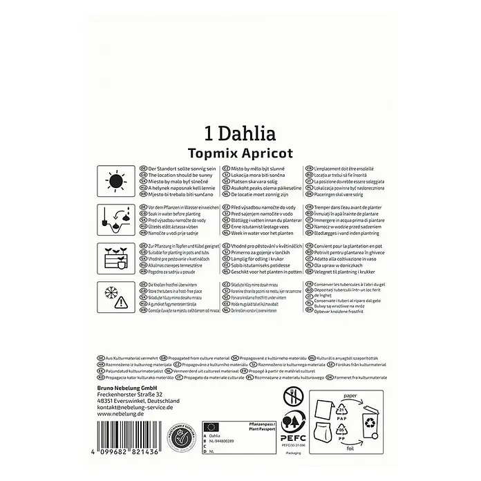 Kiepenkerl Dahlie Topmix Apricot - Dahlia x Hybrida, Mehrfarbig - Abbildung einer Dahlie Topmix Aprikose-Produktverpackung mit Anweisungen und recycelbaren Symbolen.