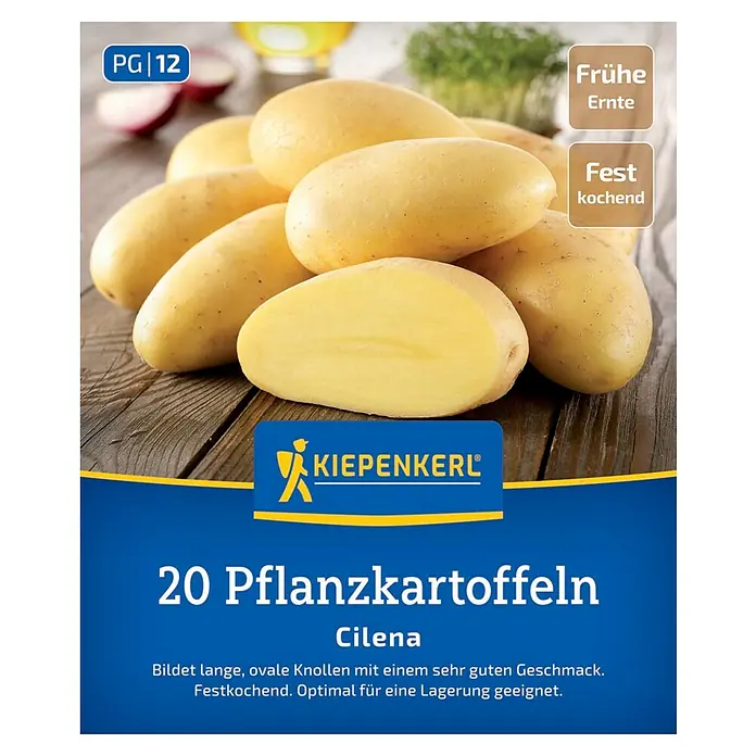 Kiepenkerl Pflanzkartoffeln Cilena - Solanum tuberosum, 20 Stk., Erntezeit: August - Abbildung einer Packung „Cilena“ Pflanzkartoffeln der Marke Kiepenkerl, die 20 festkochende Saatkartoffeln mit früher Ernte verspricht.