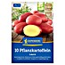 Kiepenkerl Pflanzkartoffeln Laura 