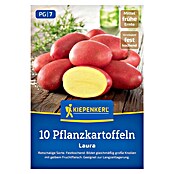 Kiepenkerl Pflanzkartoffeln Laura (Solanum tuberosum, 10 Stk.) | BAUHAUS