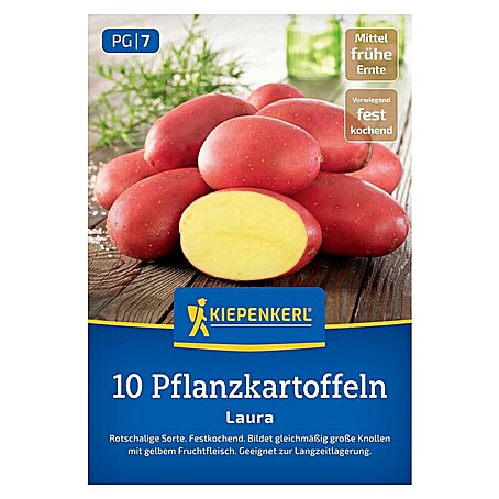 Kiepenkerl Pflanzkartoffeln Laura (Solanum tuberosum, 10 Stk.)