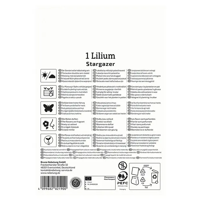 Kiepenkerl Blumensamenmischung Lilie Stargazer - Lilium Stargazer - Produktbild einer Lilium Stargazer-Verpackung mit Hinweisen zu Standort, Pflanzung, Pflege und Entsorgung.