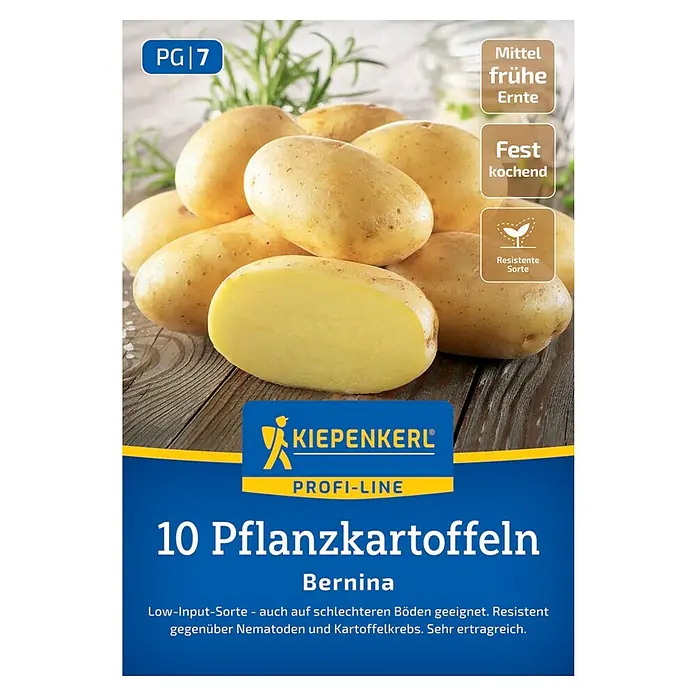Kiepenkerl Profi-Line Pflanzkartoffeln Bernina - Solanum tuberosum, 10 Stk., Erntezeit: August - Abbildung der "Kiepenkerl Profi-Line" Pflanzkartoffeln der Sorte "Bernina", ideal für den Anbau von resistenten, festkochenden Kartoffeln.
