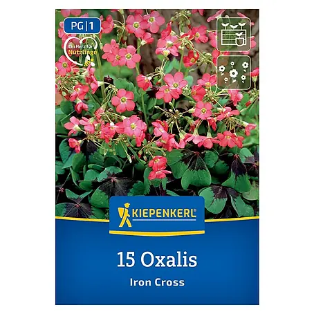 Kiepenkerl  Blumensamenmischung Glücksklee Iron Cross