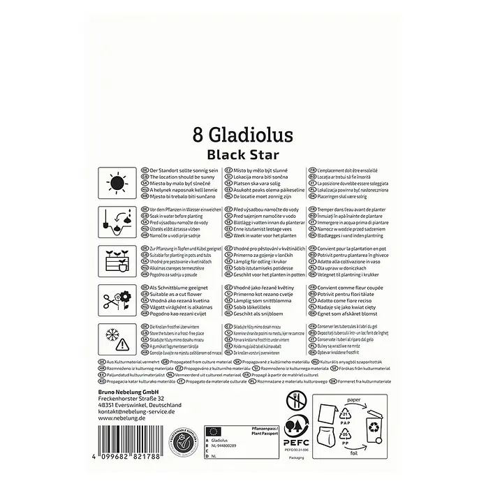 Kiepenkerl Blumensamenmischung Gladiolus Black Star - Gladiolus x Hybrida - Produktinformationen für Gladiolen Black Star, einschließlich Pflanzanleitung und Pflegehinweise.