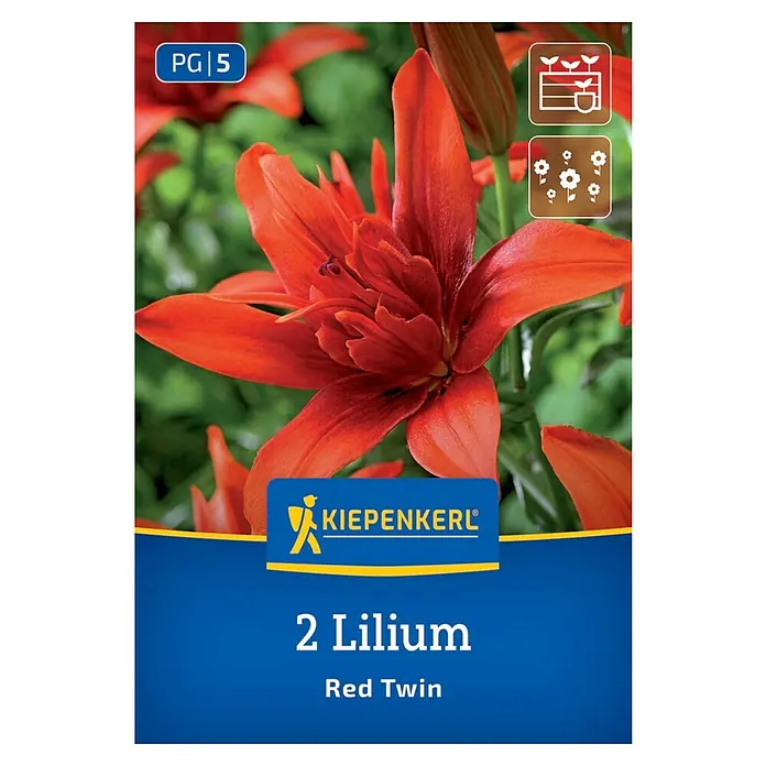 Kiepenkerl Blumensamenmischung Lilie Red Twin - Lilium, Mehrfarbig - Abbildung einer Packung '2 Lilium Red Twin'. Die Packung zeigt eine Nahaufnahme einer roten Lilie vor einem grünen Hintergrund.