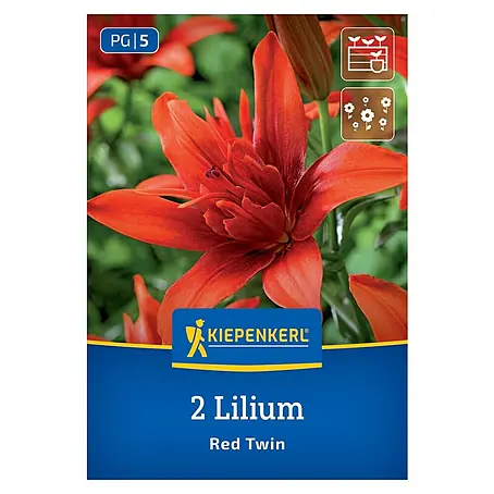 Kiepenkerl  Blumensamenmischung Lilie Red Twin