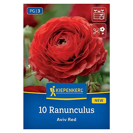 Kiepenkerl  Blumensamenmischung Ranunculus Aviv Red