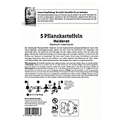 Kiepenkerl Profi-Line Pflanzkartoffeln Heiderot (Solanum tuberosum, 5 Stk., Erntezeit: September) | BAUHAUS
