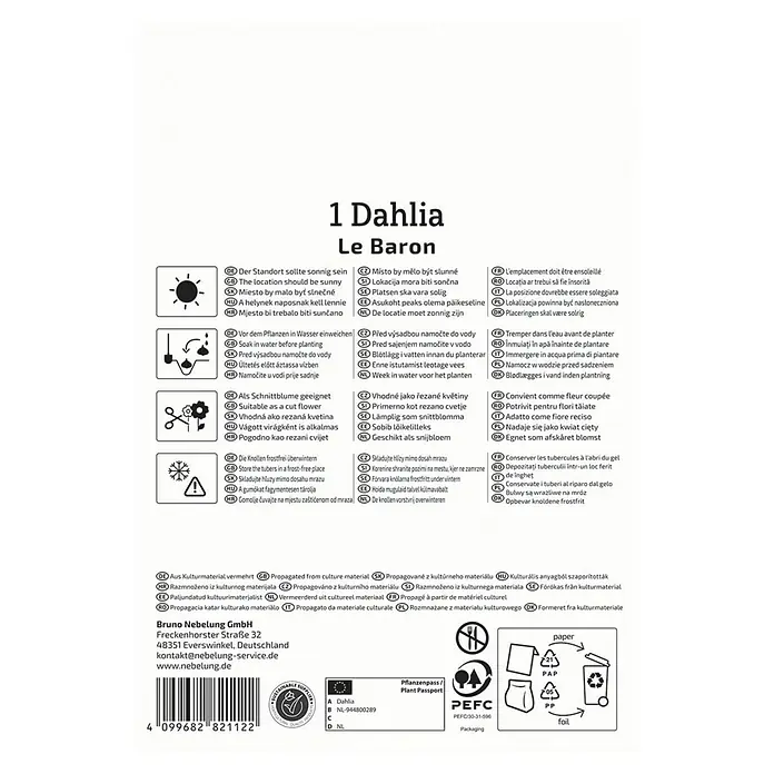 Kiepenkerl Dahlie Le Baron - Dahlia x Hybrida, Mehrfarbig - Produktinformationen für 1 'Dahlia Le Baron' Blumenzwiebel, inklusive Pflanz- und Pflegehinweise.