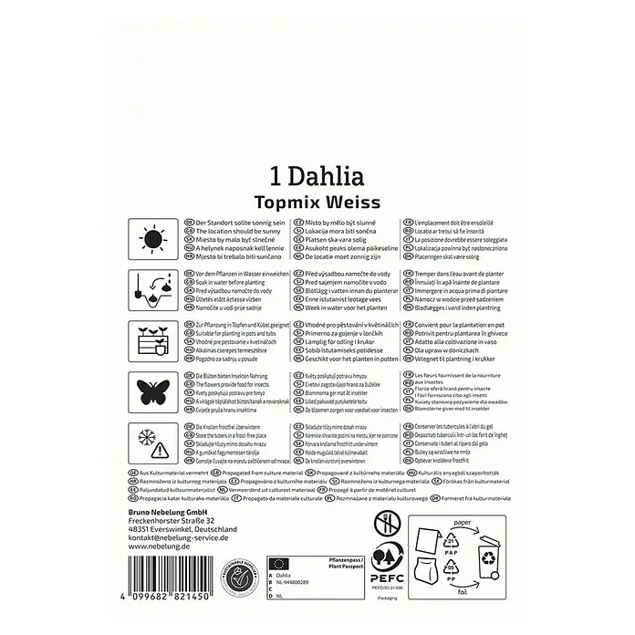 Kiepenkerl Dahlie Topmix Weiß - Dahlia x Hybrida, Mehrfarbig - Produktabbildung einer Dahlie 'Topmix Weiss' Verpackung mit Pflanzanleitung und Pflegehinweisen.