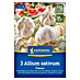 Kiepenkerl Knoblauch Flavor 