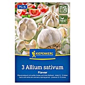 Kiepenkerl Knoblauch Flavor (Allium sativum) | BAUHAUS