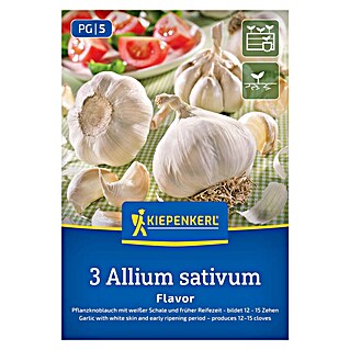 Kiepenkerl Knoblauch Flavor (Allium sativum)