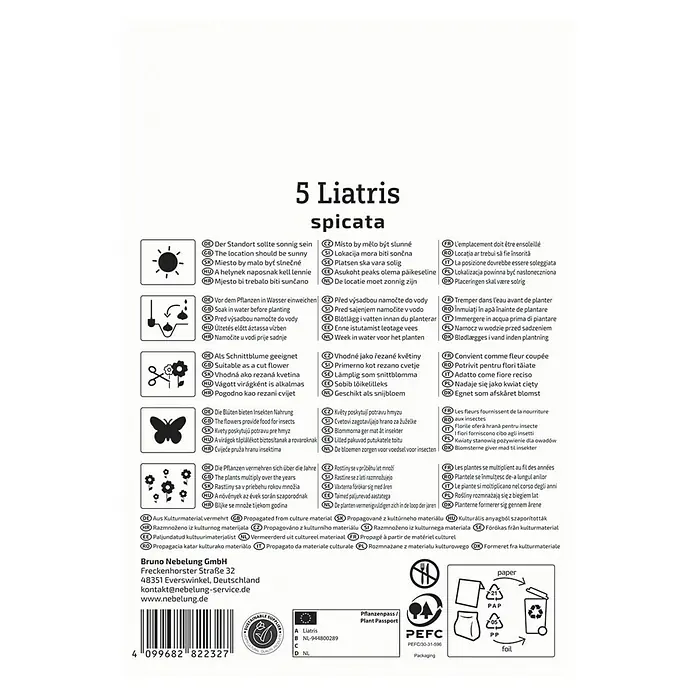 Kiepenkerl Blumensamenmischung Prachtscharte Liatris Blau - Liatris spicata - Informationen zur 5 Liatris spicata, auch bekannt als Prachtscharte: Standort, Bewässerung, Schnitt, Insektenfreundlichkeit und Vermehrung.