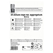 Kiepenkerl Profi-Line Steckzwiebeln Schalotte Biztro, Gr. 7/15 (Allium cepa, Erntezeit: Juli) | BAUHAUS