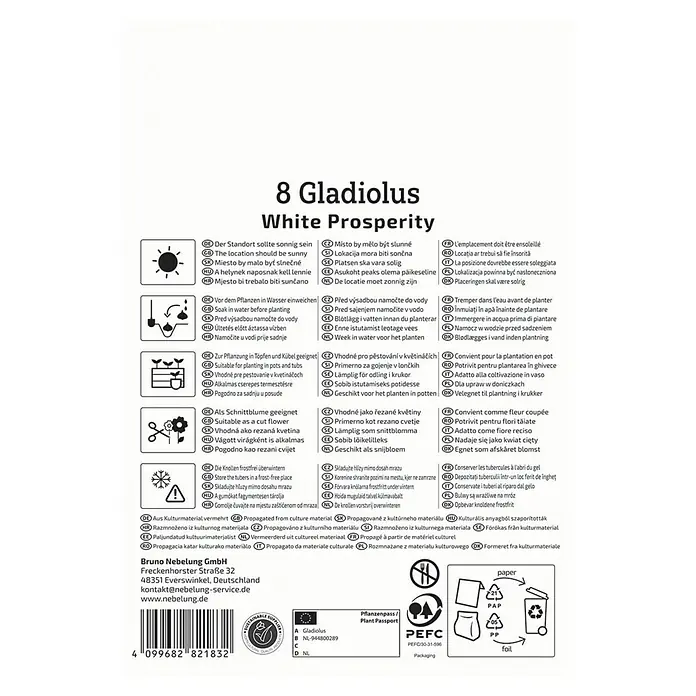 Kiepenkerl Blumensamenmischung Gladiole White Prosperity - Gladiolus x Hybrida - Informationen zur Aufzucht von 8 Gladiolenzwiebeln der Sorte White Prosperity, mit Tipps zu Standort, Bewässerung und Lagerung.