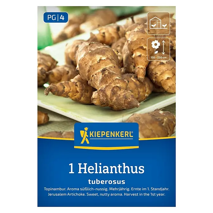 Kiepenkerl Gemüsesamen - Helianthus tuberosus, Erntezeit: Januar - Bild einer Verpackung Topinambur-Knollen von Kiepenkerl mit Produktinformationen.