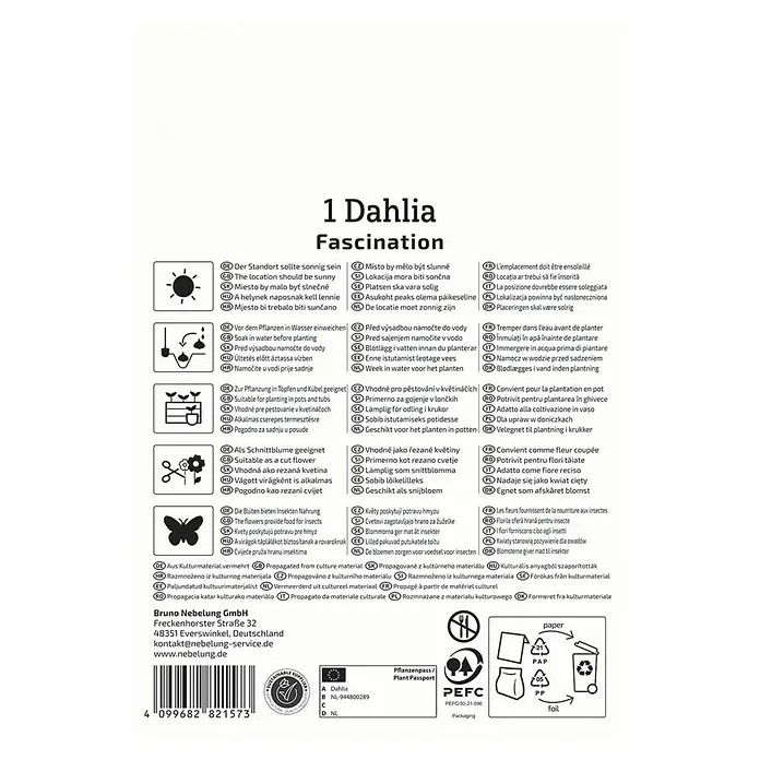 Kiepenkerl Dahlie Fascination - Dahlia x Hybrida, Mehrfarbig - Verpackung für 1 'Dahlia Fascination' Blume, mit Hinweisen zu Standort, Bewässerung, Pflanzung, Schnitt und Insektenfreundlichkeit.