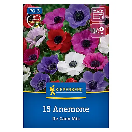 Kiepenkerl  Blumensamenmischung Kronenanemone De Caen Mischung