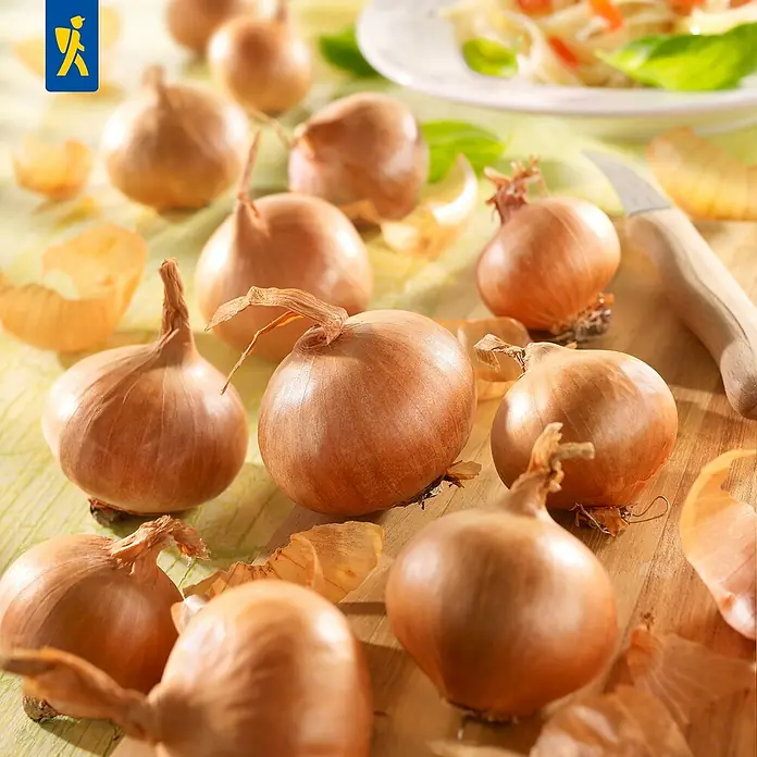 Kiepenkerl Steckzwiebeln Rote Schalotten, Gr.7/14 - Allium cepa, Erntezeit: Juli, 400 g - Nahaufnahme von goldgelben Zwiebeln, teils geschält, auf einem Holztisch mit einem Messer.