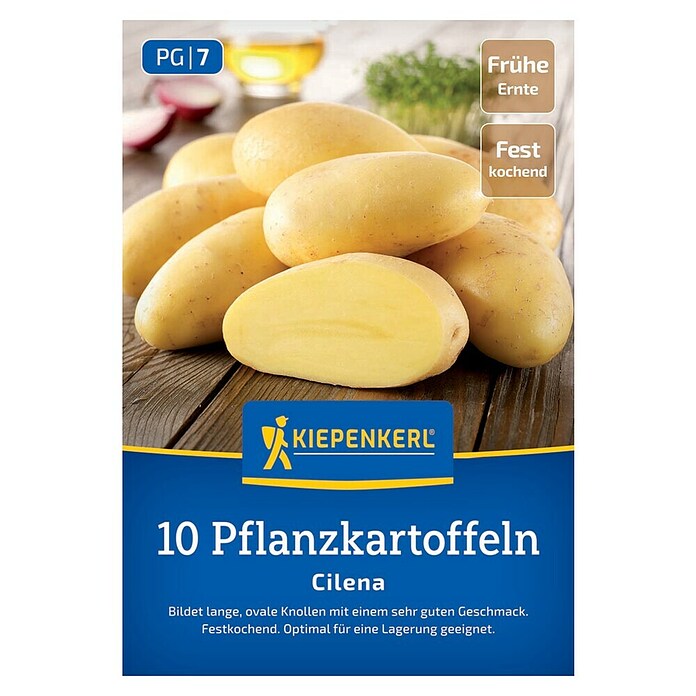Kiepenkerl Pflanzkartoffeln Cilena (Solanum tuberosum, 10 Stk., Erntezeit: August) | BAUHAUS