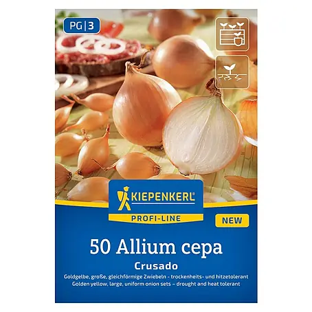 Kiepenkerl Profi-Line Steckzwiebeln Crusado