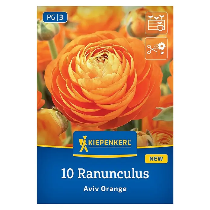 Kiepenkerl Blumensamenmischung Ranunkeln Orange - Ranunculus - Packung Ranunkel 'Aviv Orange' Blumenzwiebeln von Kiepenkerl. Eine herrliche, orangefarbene Sorte, perfekt für Garten und Vase.
