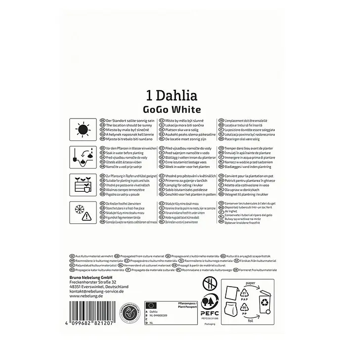 Kiepenkerl Dahlie Go Go White - Dahlia x Hybrida, Weiß - Bild der '1 Dahlia GoGo White' Verpackung mit Pflegehinweisen und Recyclinginformationen.
