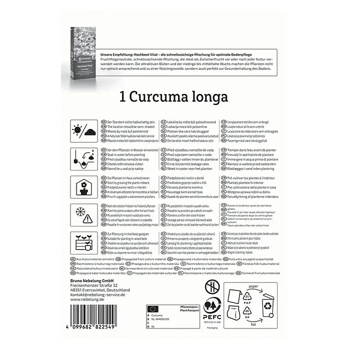 Kiepenkerl Kräutersamen - Curcuma longa, Saatzeit: April, Erntezeit: November - Curcuma longa Produktverpackung. Tipps zu Standort, Bewässerung und Anbau für beste Ergebnisse in Ihrem Garten.