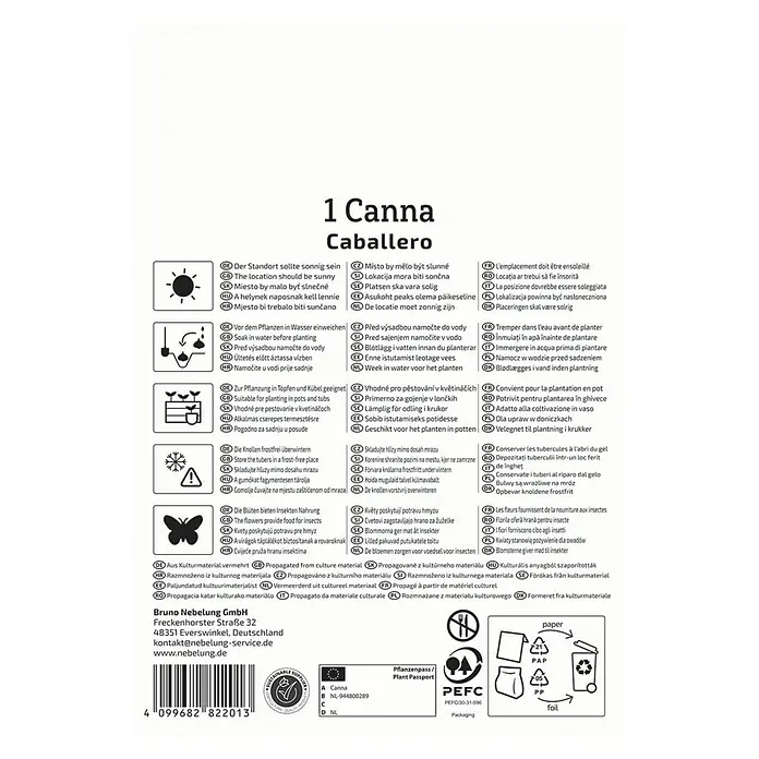 Kiepenkerl Blumensamenmischung Blumenrohr Caballero - Begonia x Tuberhybrida - Produktbild der "1 Canna Caballero" Pflanze, mit Hinweisen zu Standort, Pflege und Umweltschutz.