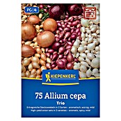 Kiepenkerl Steckzwiebeln Trio (Allium cepa, Erntezeit: Juli) | BAUHAUS
