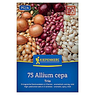 Kiepenkerl Steckzwiebeln Trio (Allium cepa, Erntezeit: Juli)