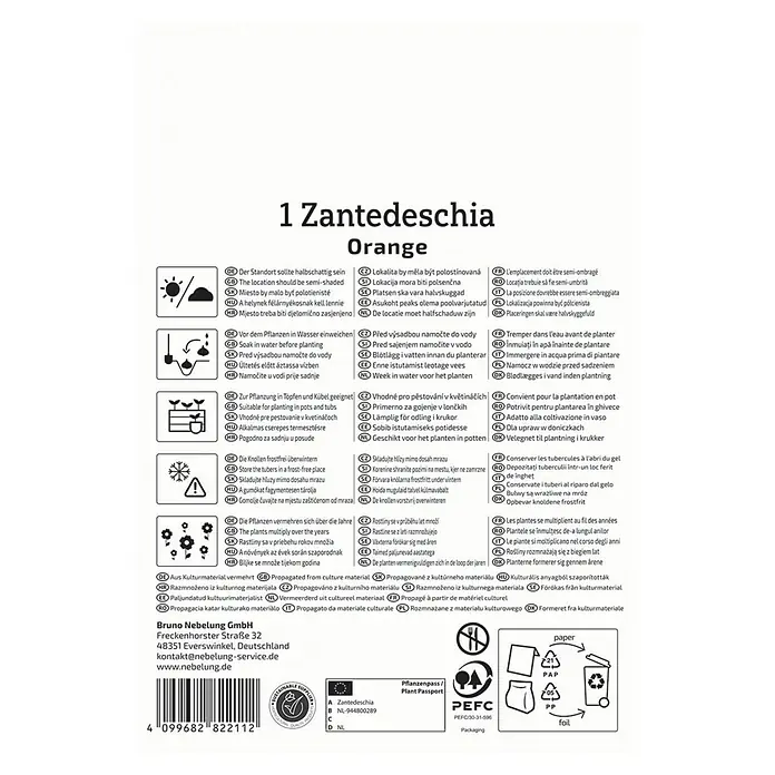 Kiepenkerl Blumensamenmischung Calla Orange - Zantedeschia x Hybrida, Mehrfarbig - Informationen zur Zantedeschia Orange, einschließlich Standort, Bewässerung, Pflanzung, Überwinterung und Vermehrung.