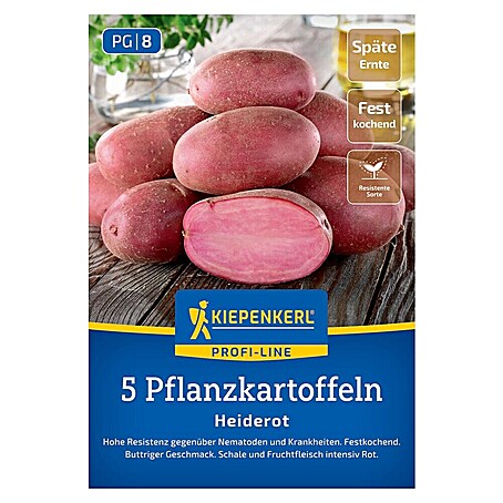 Kiepenkerl Profi-Line Pflanzkartoffeln Heiderot (Solanum tuberosum, 5 Stk., Erntezeit: September)