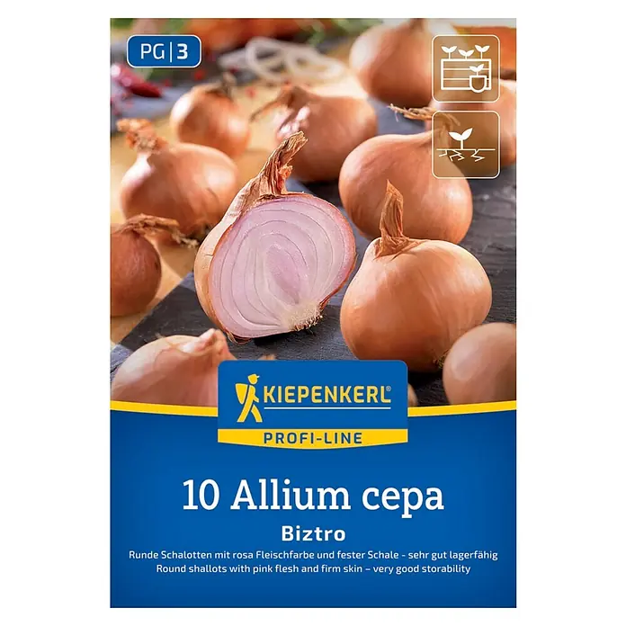 Kiepenkerl Profi-Line Steckzwiebeln Schalotte Biztro, Gr. 7/15 - Allium cepa, Erntezeit: Juli - Abbildung der "Allium cepa Biztro" Schalottenpackung mit dem Kiepenkerl-Logo und der Aufschrift "Profi-Line".