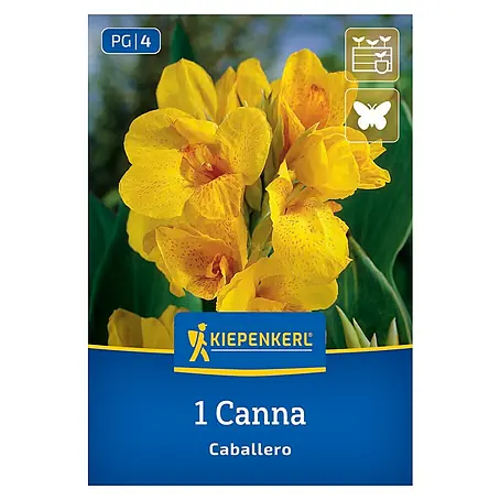 Kiepenkerl  Blumensamenmischung Blumenrohr Caballero